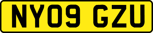 NY09GZU