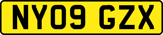 NY09GZX