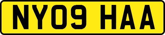 NY09HAA