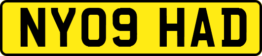 NY09HAD
