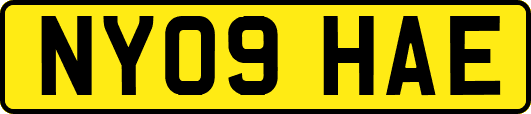 NY09HAE