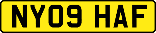 NY09HAF