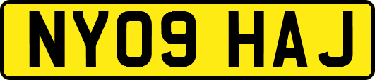 NY09HAJ