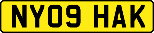 NY09HAK