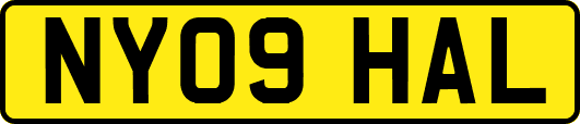 NY09HAL