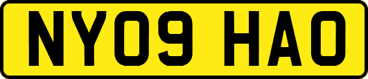 NY09HAO