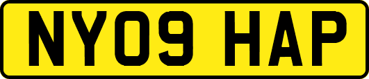 NY09HAP