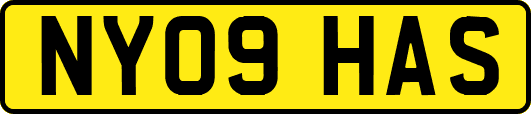 NY09HAS