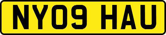 NY09HAU