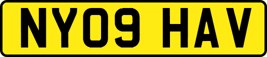 NY09HAV