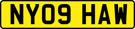 NY09HAW