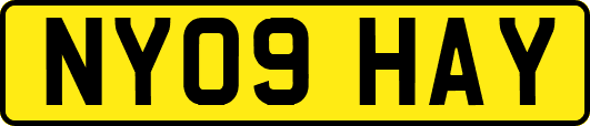 NY09HAY