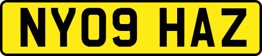 NY09HAZ