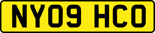 NY09HCO