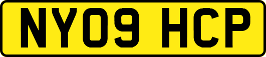 NY09HCP