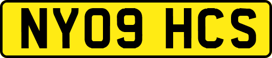NY09HCS