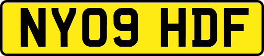 NY09HDF