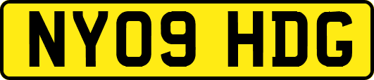 NY09HDG