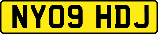 NY09HDJ