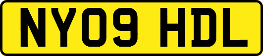 NY09HDL