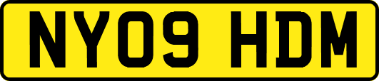 NY09HDM