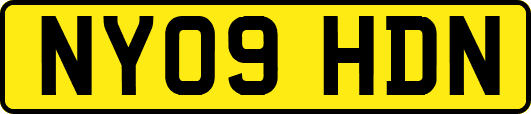 NY09HDN