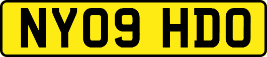 NY09HDO