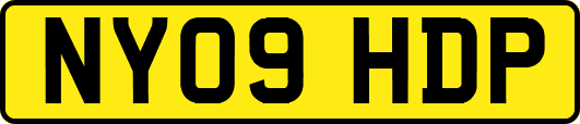 NY09HDP