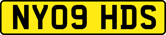 NY09HDS