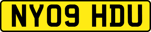 NY09HDU