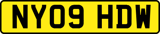 NY09HDW