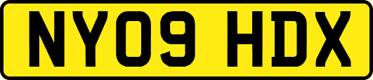 NY09HDX