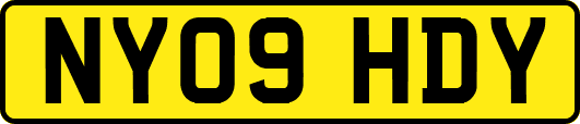 NY09HDY