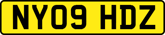 NY09HDZ