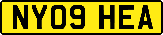 NY09HEA