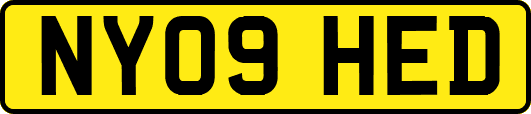 NY09HED