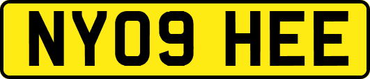 NY09HEE