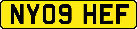 NY09HEF