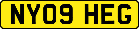 NY09HEG