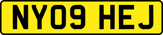 NY09HEJ