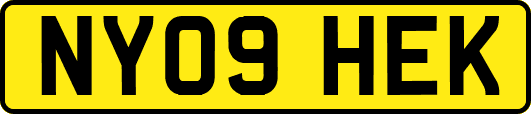 NY09HEK