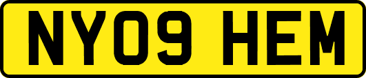 NY09HEM