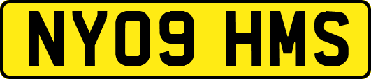 NY09HMS