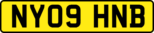 NY09HNB