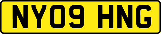 NY09HNG