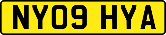 NY09HYA