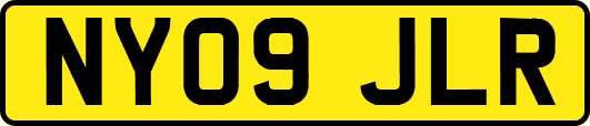 NY09JLR