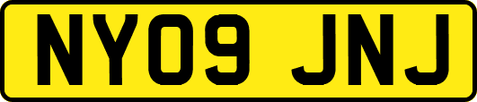 NY09JNJ