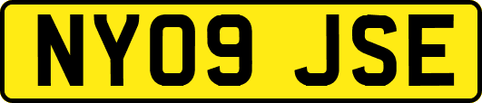 NY09JSE