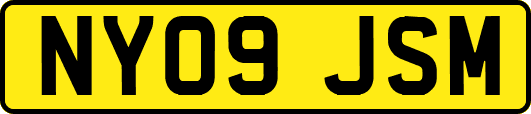 NY09JSM